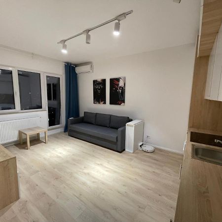 Aquamarine Luxury Apartment Palace Бухарест Екстер'єр фото